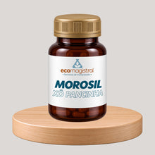 Morosil - Xô Pancinha