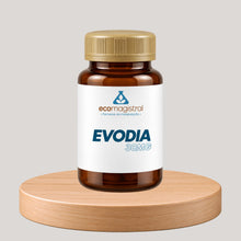 Evodia 30mg - Termogênico